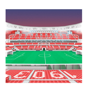 Estadio Wanda con luz - PAPELERIA